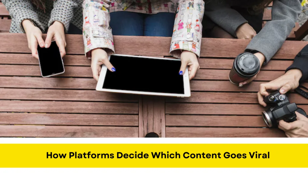 How Platforms Decide Which Content Goes Viral